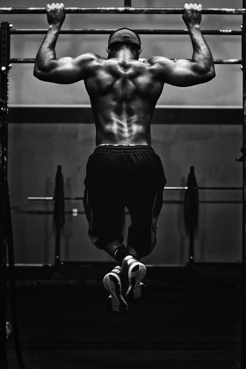 Free Weights & Barbells